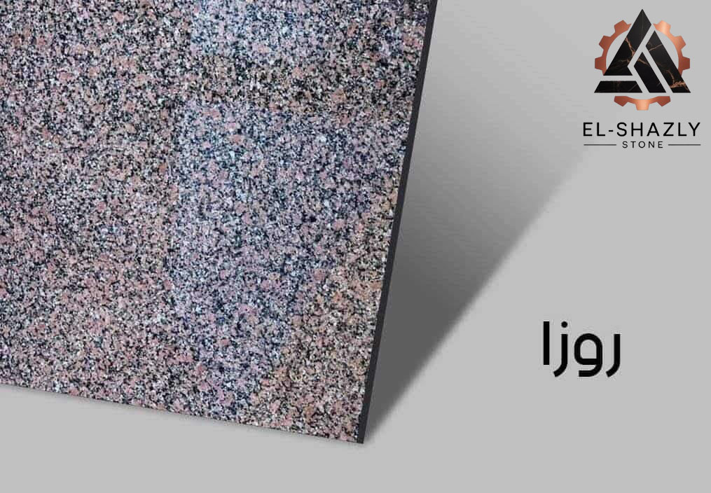 WhatsApp Image 2025-11-05 at 3.43.51 PM (1) copy