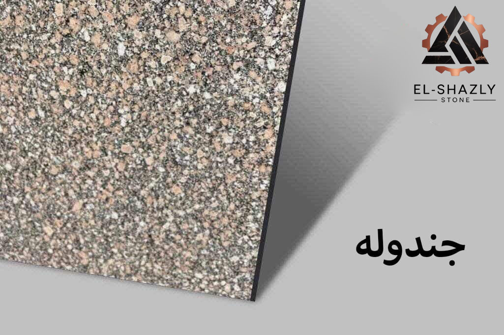 WhatsApp Image 2025-11-05 at 3.43.51 PM (3) copy