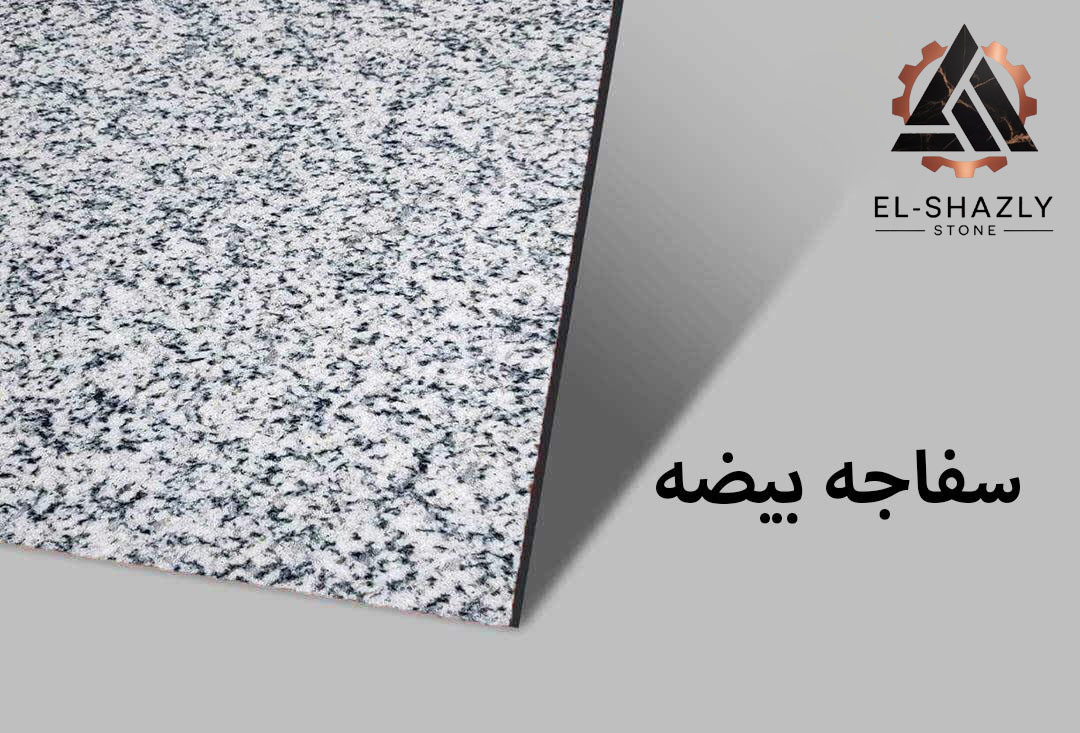 WhatsApp Image 2025-11-05 at 3.43.52 PM (1) copy