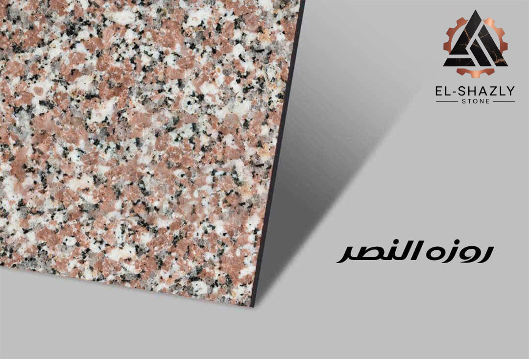 WhatsApp Image 2025-11-05 at 3.43.52 PM (2) copy