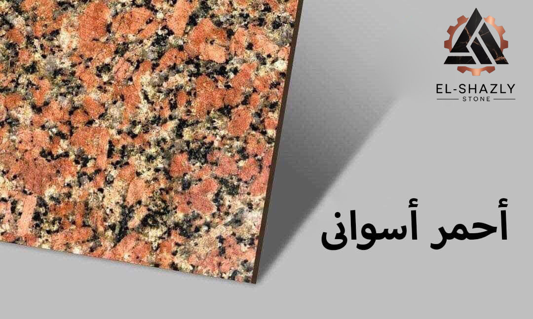 WhatsApp Image 2025-11-05 at 3.43.52 PM (3) copy