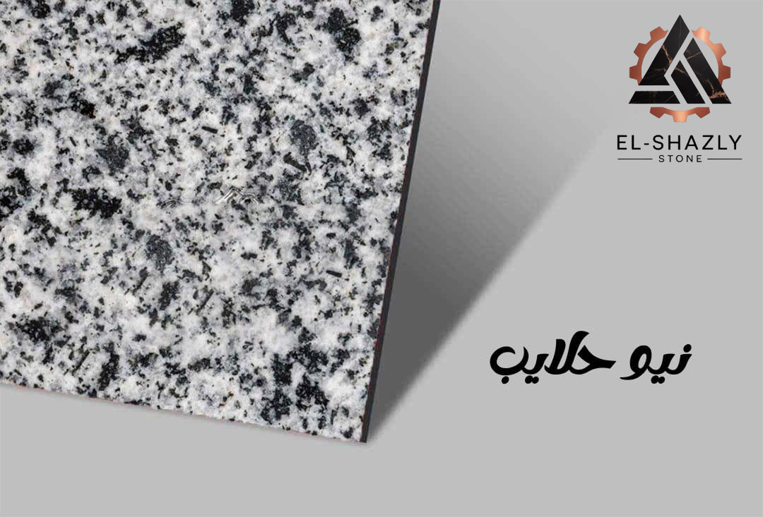 WhatsApp Image 2025-11-05 at 3.43.52 PM copy