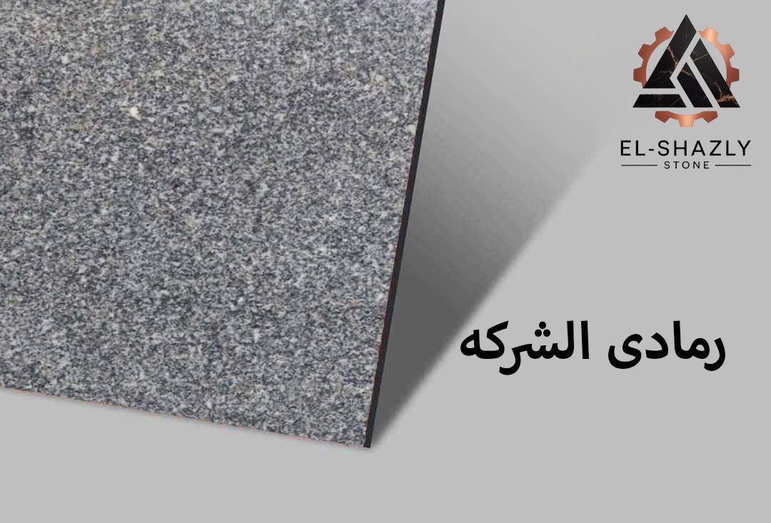 WhatsApp Image 2025-11-05 at 3.43.53 PM (1) copy