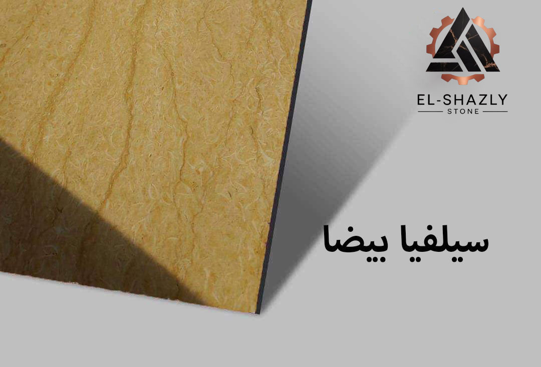 WhatsApp Image 2025-11-05 at 3.44.42 PM (1) copy