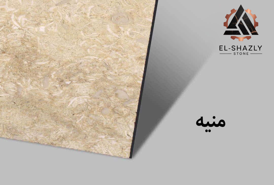 WhatsApp Image 2025-11-05 at 3.44.42 PM copy